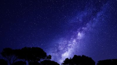 day10_面向对象