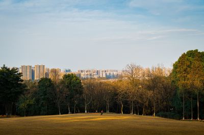 尚硅谷_尚品甄选项目_第4章 订单